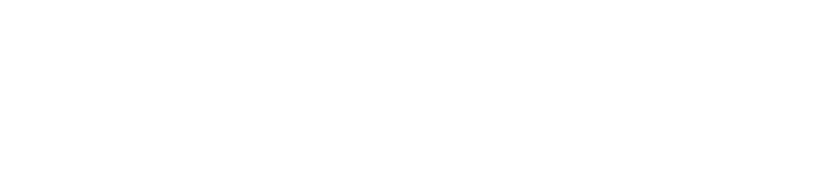 Wnes Logo